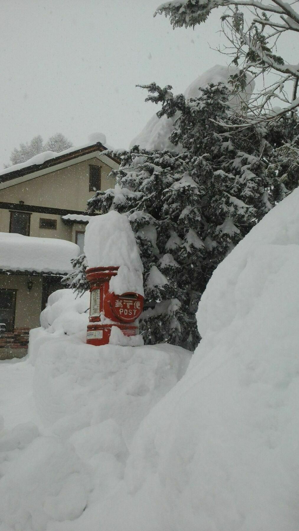 Sakka Sanso Vila Hakuba Exterior foto